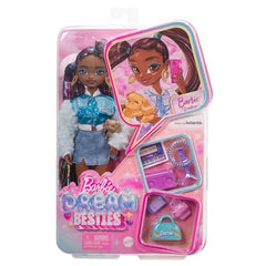 Barbie Dream Besties Doll and Accessories