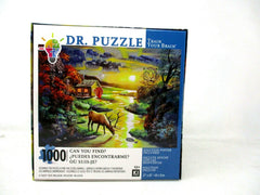 KI Puzzles Dr. Puzzle Can You Find? Rusty Rust Millusion 1000-Piece