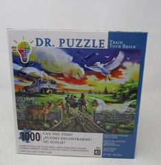 Dr. Puzzle Can You Find? Rusty Rust Illusion 1000-Piece Jigsaw Puzzle