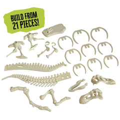 Thames & Kosmos Giant Dinosaur T. Rex Skeleton Model - 26 inch Anatomy Science Set for Kids Ages 6+
