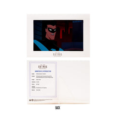McFarlane Toys DC Direct Nightwing The New Batman Adventures 6in Figure