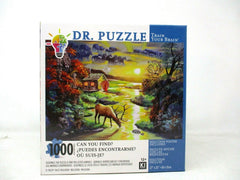 KI Puzzles Dr. Puzzle Can You Find? Rusty Rust Millusion 1000-Piece