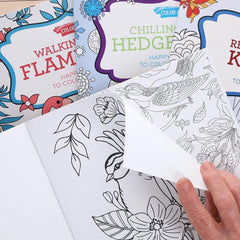 Leisure Arts Walking with Flamingos Adult Coloring Book