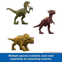 Mattel Jurassic World Dino Reveal Surprise Dinosaur Figure