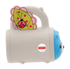 Fisher-Price Hide 'n Peek Rattle