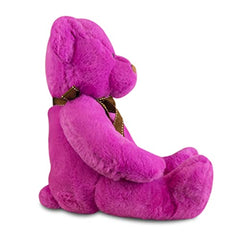 Gitzy Sitting Teddy Bears - Colorful Stuffed Animal for Kids - 16 Inch Plush Bears -