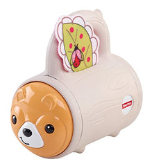 Fisher-Price Hide 'n Peek Rattle