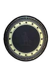 Factory Entertainment Batman vs. Superman SWAT Wonder Woman Shield Toy