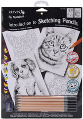 Introduction To Art By Number Kit - Arts & Crafts