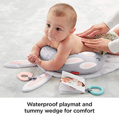 Fisher-Price All-in-One Playmat