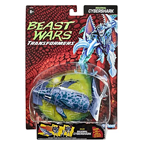 Hasbro - Maximal Cybershark Beats Wars Transformers 12cm Action Figure, Multicolor, Single (136338)