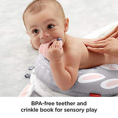 Fisher-Price All-in-One Playmat