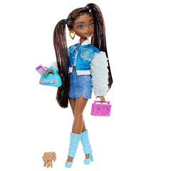 Barbie Dream Besties Doll and Accessories