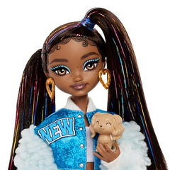 Barbie Dream Besties Doll and Accessories