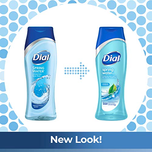 Dial Body Wash, Spring Water with All Day Freshness, 21-Fluid Ounces (Pack of 3)