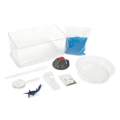 Toy Hub Aqua Critters Prehistoric Aquarium Science Kit