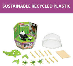 PlayMonster Wild Scenes Pandas' Bamboo Forest Grow & Play Kit