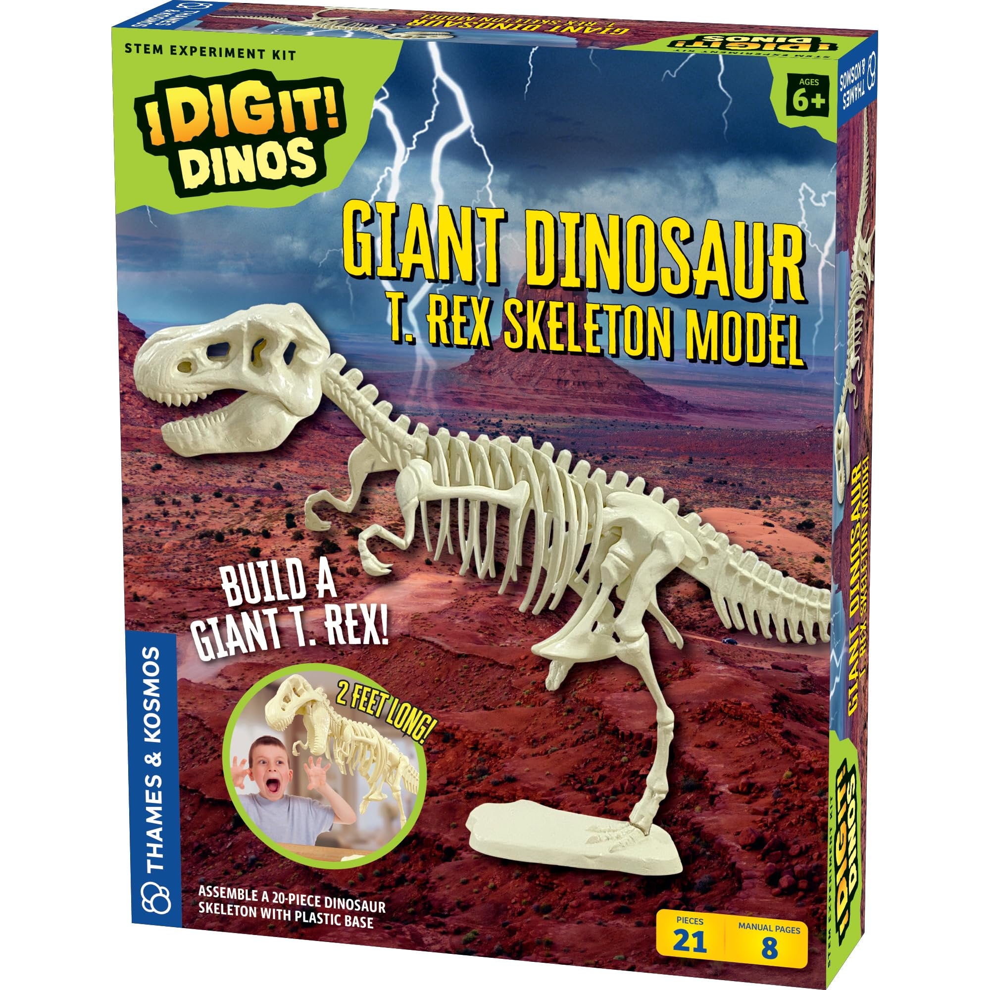 Thames & Kosmos Giant Dinosaur T. Rex Skeleton Model