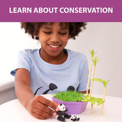 PlayMonster Wild Scenes Pandas' Bamboo Forest Grow & Play Kit