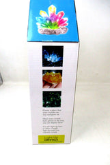Unbelievable Science Light Up Crystals Growing Kit