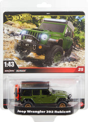 Hot Wheels Premium 1:43 Scale Die-Cast Collector Car | Real Riders