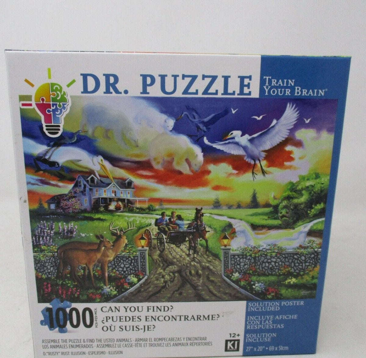 Dr. Puzzle Can You Find? Rusty Rust Illusion 1000-Piece Jigsaw Puzzle