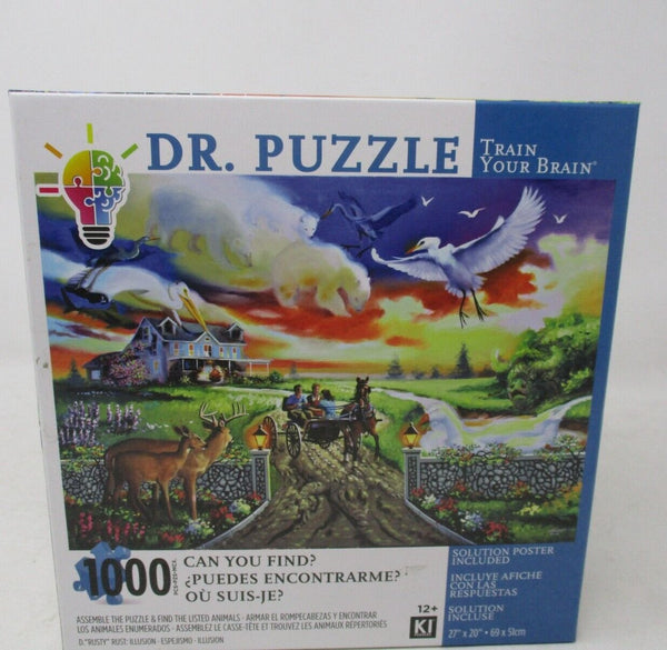 Dr. Puzzle Can You Find? Rusty Rust Illusion 1000-Piece Jigsaw Puzzle