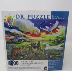 Dr. Puzzle Can You Find? Rusty Rust Illusion 1000-Piece Jigsaw Puzzle