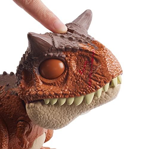 Jurassic World Toys Chompin’ Carnotaurus Toro Dinosaur Action Figure Camp Cretaceous with Button-Activated Chomping & Other Motions, Realistic Sculpting, Kid Gift Age 4 Years & Up, Multi