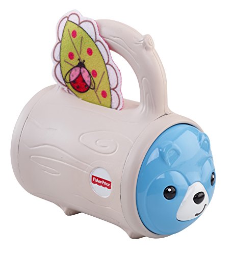 Fisher-Price Hide 'n Peek Rattle