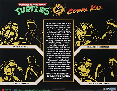 Teenage Mutant Ninja Turtles vs. Cobra Kai Mikey vs. Daniel LaRusso 2 Pack