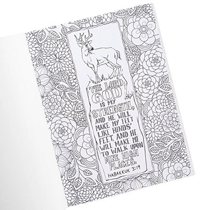 My Favorite KJV Verses to Color - Inspirational Adult and Teen Coloring Book Inspiration and Encouragement from God's Word