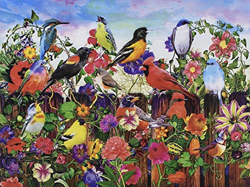 Kodak Premium Puzzle 550 BLOM, Birds and Blooms