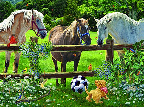 SunsOut Wanna Play - A 1000 Piece Jigsaw Puzzle