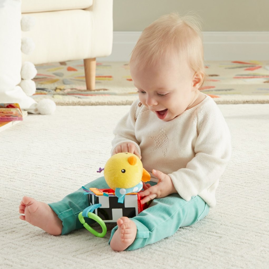 Fisher-Price Jingle, Birdie